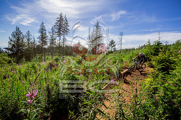 06_28_15_BCBR_01_0135