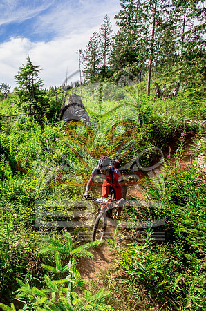 06_28_15_BCBR_01_0397