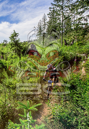 06_28_15_BCBR_01_0407