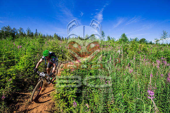 06_28_15_BCBR_01_0228