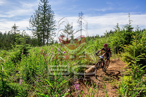06_28_15_BCBR_01_0161