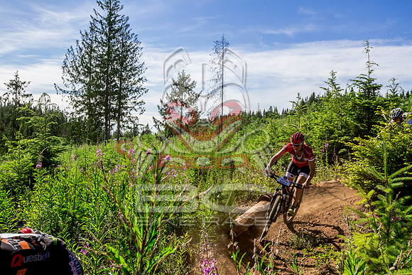 06_28_15_BCBR_01_0162