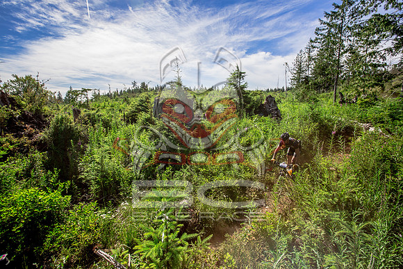 06_28_15_BCBR_01_0377