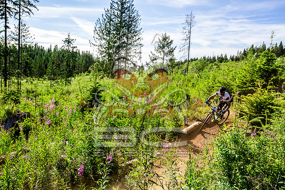 06_28_15_BCBR_01_0056