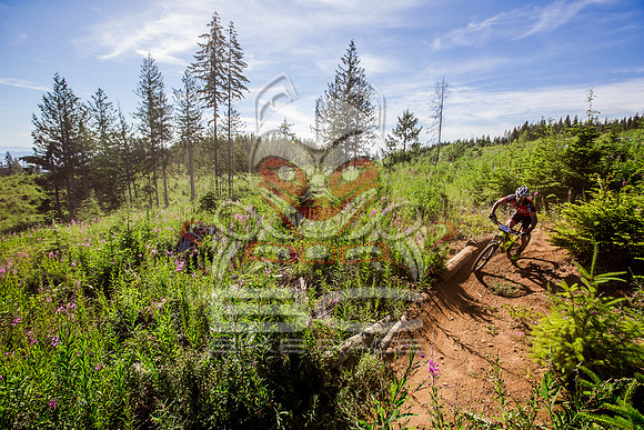 06_28_15_BCBR_01_0103