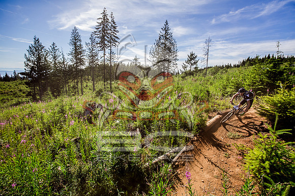 06_28_15_BCBR_01_0095