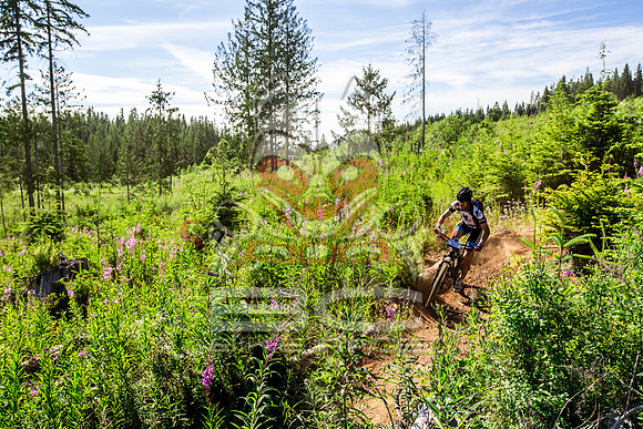 06_28_15_BCBR_01_0055