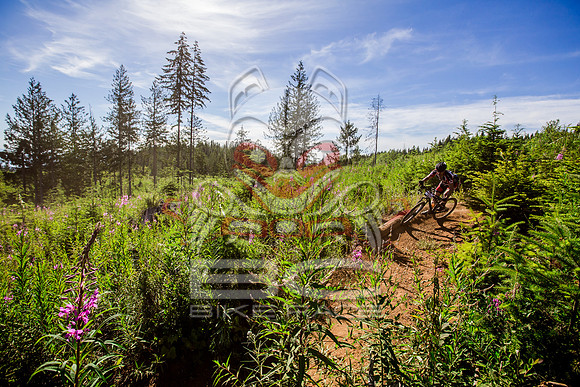 06_28_15_BCBR_01_0132