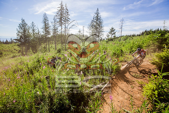 06_28_15_BCBR_01_0097