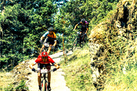 TW_BCBR13_Day04_0071