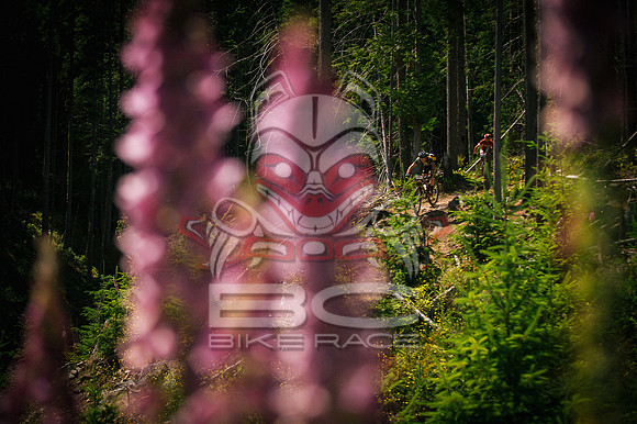 EPP-07.03.2013 - BCBR 4-89