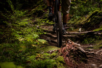 DS_201001_5017