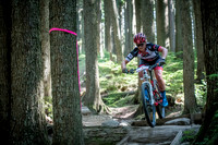 scottrobarts_bcbr2017_nv-squamish-5