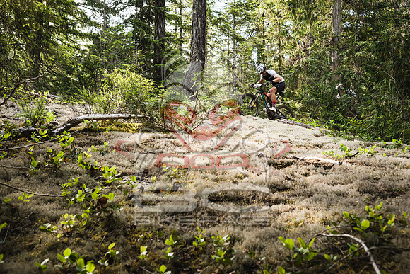 DS_BCBR17_Day1_0178