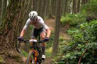 BCBR25_3_0110_DS