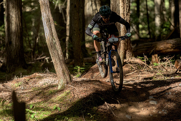 BCBR22_3_0049_DS