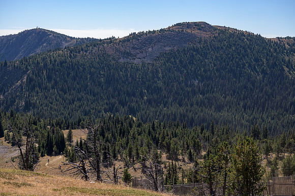 BCBR22_5_0378_DS