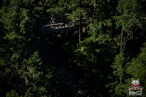 DS_BCBR13_7_0151