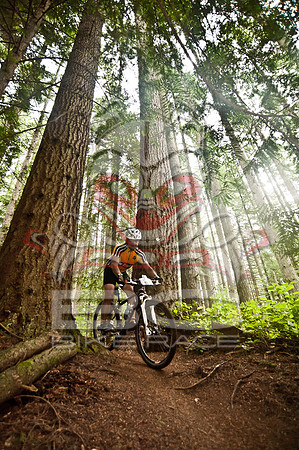 DS_BCBR11_5_0303