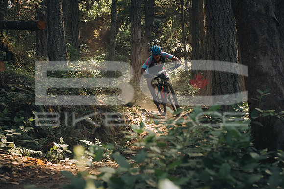 BCBR23_1_0019_MR