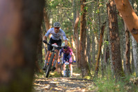 BCBR25_4_0033_DS