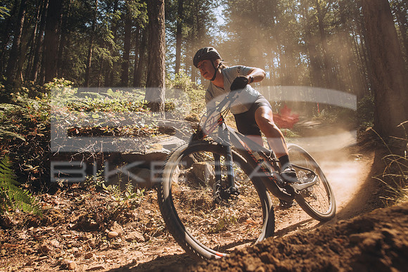 BCBR23_1_0007_MR
