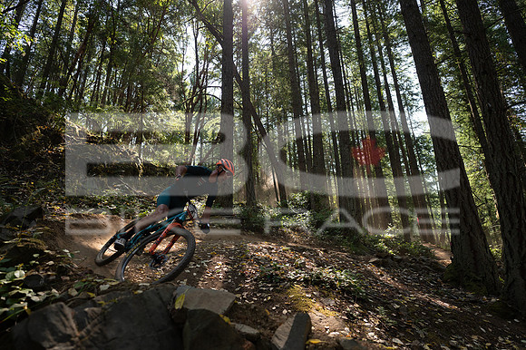 BCBR23_0_0097_DS