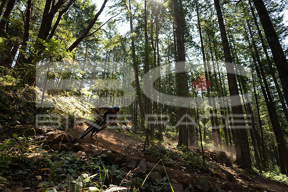 BCBR23_0_0106_DS
