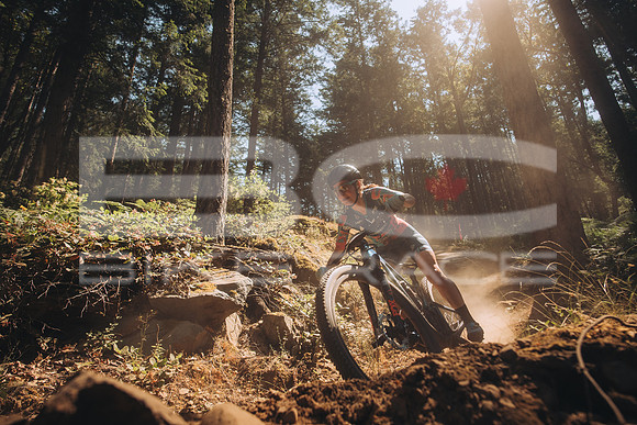 BCBR23_1_0012_MR
