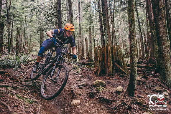 TW_BCBR2016_Day4_0447