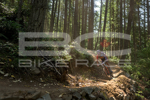 BCBR23_0_0103_DS