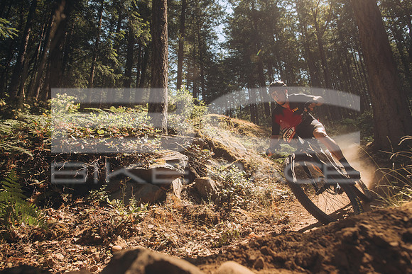 BCBR23_1_0004_MR