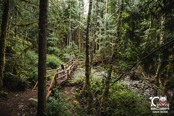 DS_BCBR16_2_0533