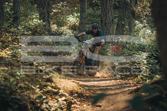 BCBR23_1_0021_MR