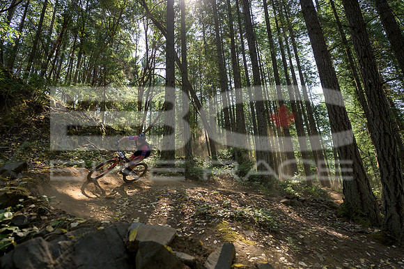 BCBR23_0_0098_DS