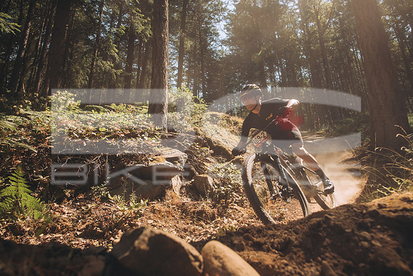 BCBR23_1_0002_MR