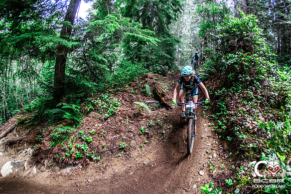 TW_BCBR2016_Day2_1155