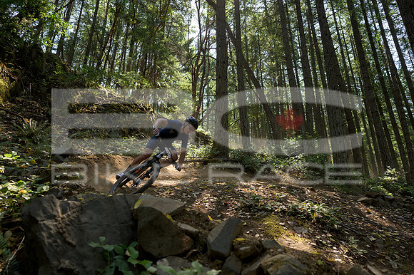 BCBR23_0_0090_DS