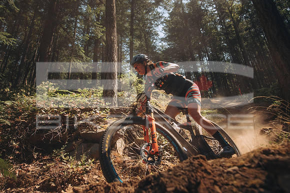 BCBR23_1_0017_MR