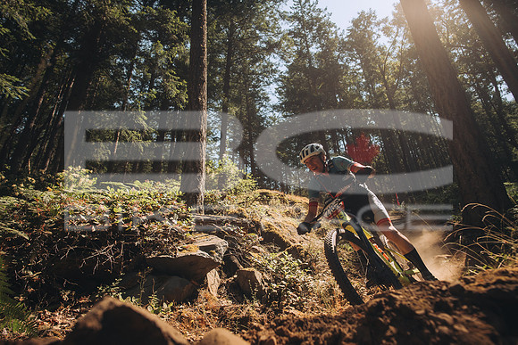 BCBR23_1_0010_MR
