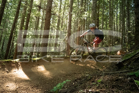 BCBR23_5_4000630_LJ