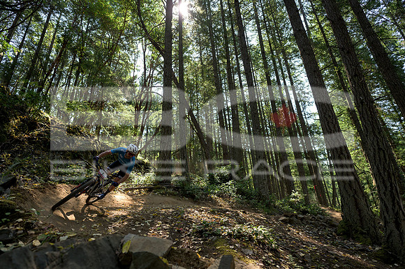 BCBR23_0_0083_DS