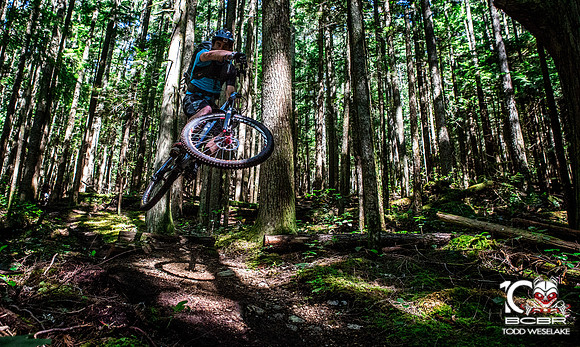 TW_BCBR2016_Day4_0258