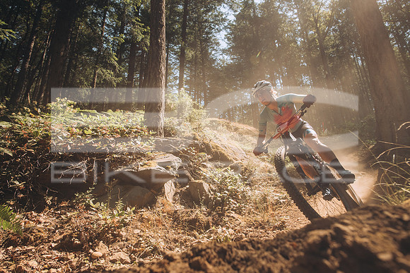 BCBR23_1_0008_MR
