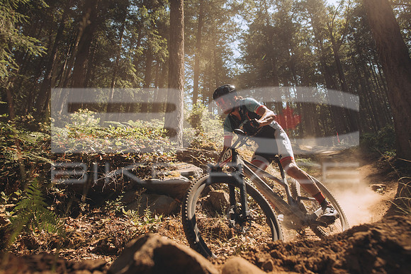 BCBR23_1_0014_MR
