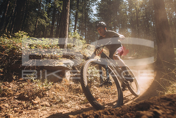BCBR23_1_0009_MR