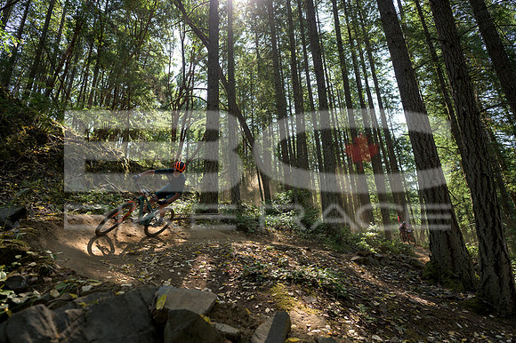 BCBR23_0_0096_DS