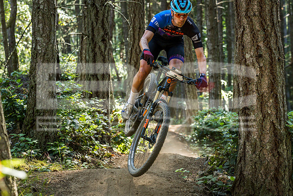 BCBR23_1_SK-2