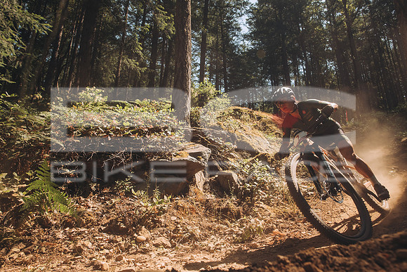 BCBR23_1_0005_MR