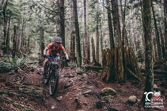 TW_BCBR2016_Day4_0412